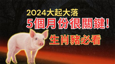 2024年屬豬運程|【2024屬豬運程】2024屬豬運程：反覆向上、轉危為機！【開運。